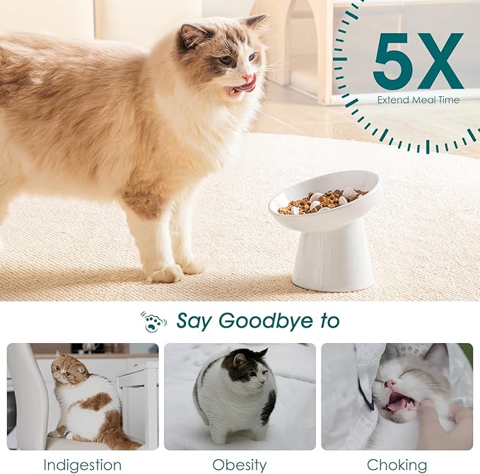 vancasso Ceramic Slow Feeder Cat Bowl, 6.25 Inch Elevated Cat Slow Feeder Bowl, Anti Vomiting for Dry and Wet Food, White - Image 4