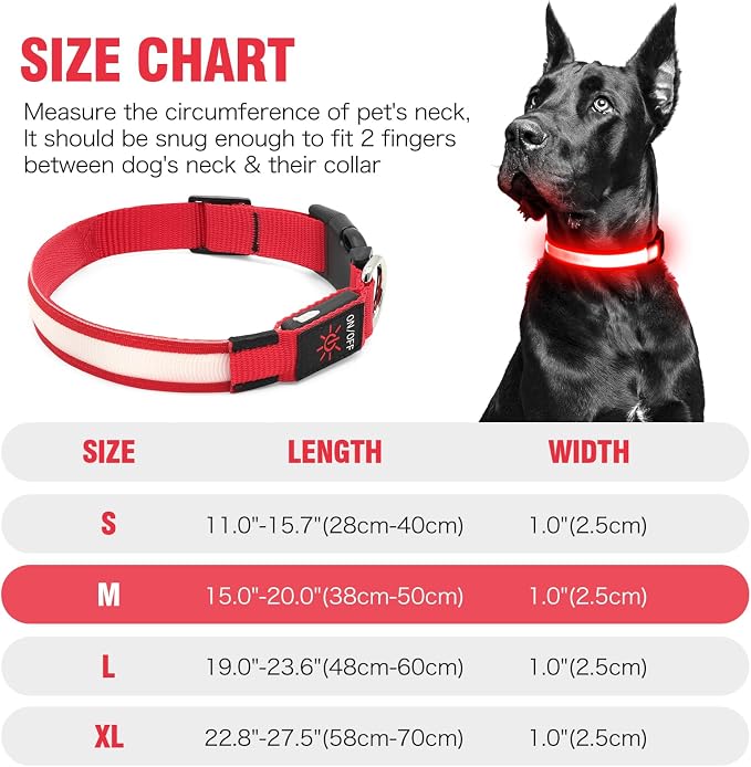 Illumifun LED Dog Collar, USB Rechargeable Light Up Dog Collars, Flashing Safety Dog Collar Glow in the Dark (Red, Medium) - Image 5