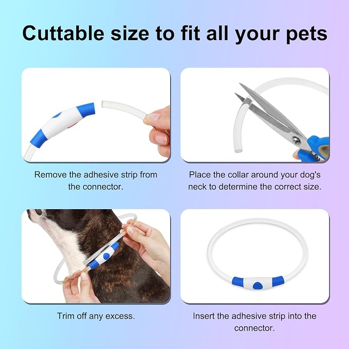 Light Up Dog Collar - Waterproof LED Dog Collar Rechargeble, TPU Cuttable Glow in the Dark Safety Dog Lights for Night Walking(Blue) - Image 4