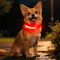 Light Up Dog Collar for Small Dogs, LED Dog Collar Rechargeable Safety Dog Lights, Fully Adjustable Glow in The Dark Puppy Collars for Night Walking & Camping (X-Small, Red) by Dolitego