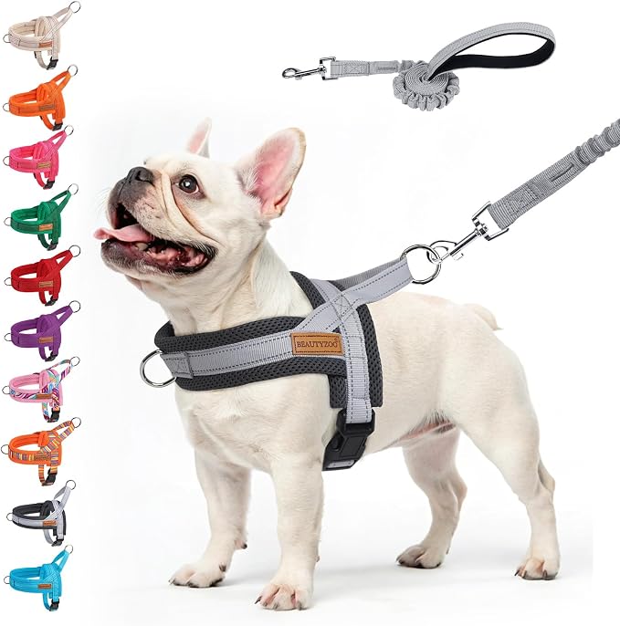 BEAUTYZOO Dog Harness Medium Sized and Leash Set, No Pull Step in Pet Vest | Breathable Mesh with Handle, Reflective, Adjustable No Choke Escape Proof, Lightweight, Easy Control for Walking, Grey M by BEAUTYZOO