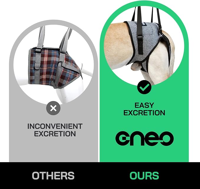 CNEO Dog Lift Harness, Dog Sling for Medium Large Dogs, Adjustable Dog Support Harness for Back Legs, Comfy Design Pet Harness with Padded for Elderly, Injured, Arthritic, Senior, Disabled Dogs - Image 2