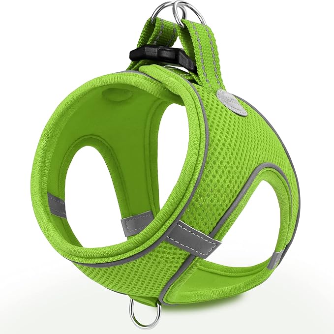 Joytale Step-in Dog Harness, Soft Breathable Mesh, Green XL | Adjustable Fit for Small Dogs, Easy Step-in with Secure Fastener, Even Chest Pressure, Reflective For Night Safety, Washable by Joytale