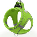 Joytale Step-in Dog Harness, Soft Breathable Mesh, Green M | Adjustable Fit for Small Dogs, Easy Step-in with Secure Fastener, Even Chest Pressure, Reflective For Night Safety, Washable by Joytale