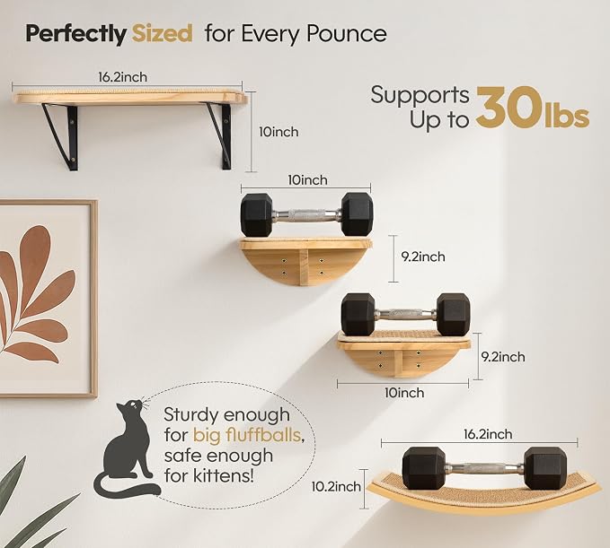 Cat Wall Shelves, Cat Window Perches with Curved Bed & 2 Sisal Mat Steps | Cat Window Perches with Beige Curved Bed & 2 Floating Steps for All Breeds, 3-in-1 Cat Wall Set for Climbing & Lounging - Image 7