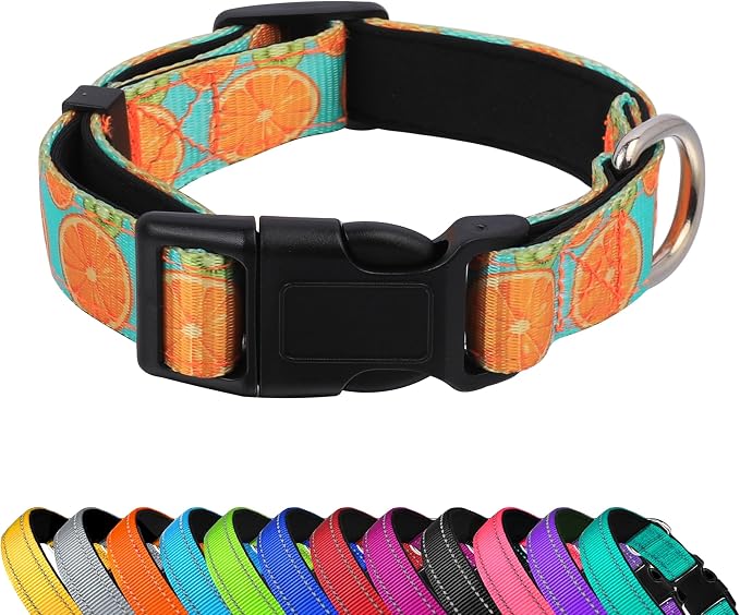 Reflective Dog Collar, Adjustable Soft Neoprene Padded,Summer Lemon,S | Breathable Nylon for Small Dogs,Tear-Resistant Webbing,Chafe‑Free on Walks and Hikes,Metal D-Ring,Night Safety by PWOD
