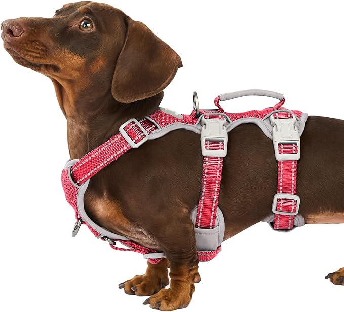 No Escape Dog Harness, Escape Proof Harness, Fully Reflective Harness with Padded Handle, Breathable, Durable, Adjustable Vest for Small Dogs Walking,Training,and Running Gear(Red,S) by Huntboo
