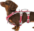 No Escape Dog Harness, Escape Proof Harness, Fully Reflective Harness with Padded Handle, Breathable, Durable, Adjustable Vest for Small Dogs Walking,Training,and Running Gear(Red,S) by Huntboo