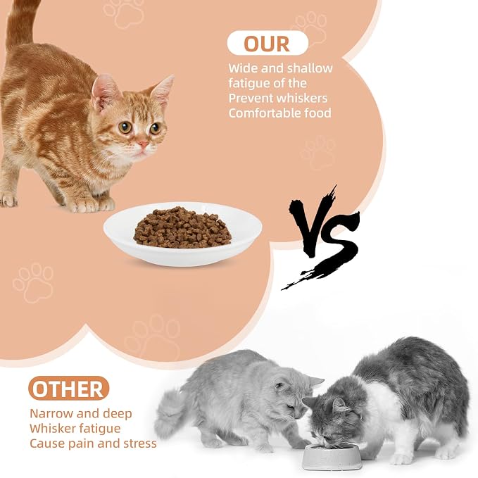 6 Pack Cat Food Bowl, Ceramic Cat Bowls, Anti Whisker Fatigue Cats Bowl Set | 5.5 Inches Shallow Wide Kitten Plates for Food and Water (White-E) - Image 3