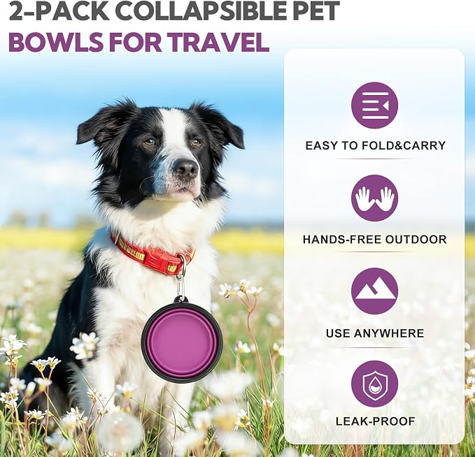 Collapsible Dog Bowl Large 34oz, Travel Dog Water Bowl Portable | 2 Pack, 2 Carabiner Clips, Silicone Travel Dog Bowl Foldable, Feeding Watering Dish Bowl, for Parking, Walking, Camping - Image 8