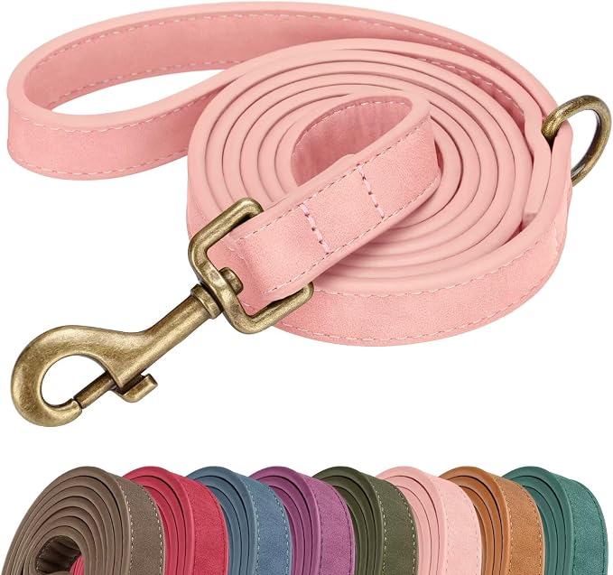 Didog PU Leather Dog Leash for Small Dogs, 5/8in x 5ft, Pink | Soft Grip Full Control, Easy Clean, Metal D-ring for Poop Bag Holder, Tangle-Free 360° Swivel Clasp, for Walking & Training by Didog