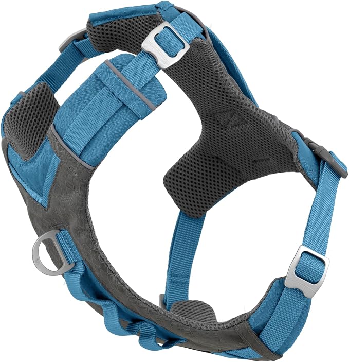 Kurgo Journey Air Dog Harness, Blue, Medium | Padded Chest, Ripstop Outer & Breathable Mesh, Back Assist Handle, Rust-Free Aluminum Hardware, Reflective Trim by Kurgo