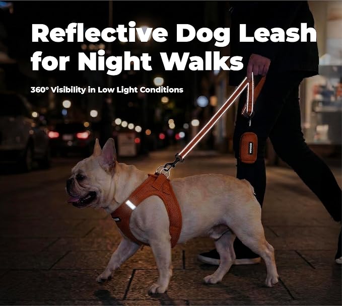 Best Pet Supplies Voyager Nylon Dog Leash - Orange, Medium | 5ft in Length, 3/4" in Width, Reflective, Soft Neoprene Handle, Heavy Duty Metal Clips for Running, Walking & Training - Image 4