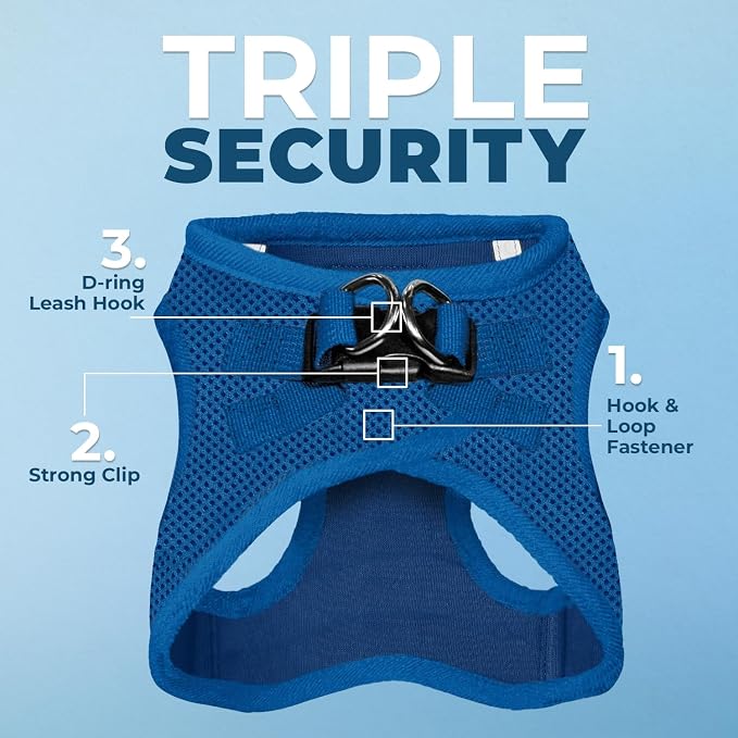 Best Pet Supplies Voyager Step-in Air All Weather Mesh Harness and Reflective Dog 5ft Leash Combo with Neoprene Handle, for Small, Medium and Large Breed Puppies - Royal Blue, XX-Small - Image 2