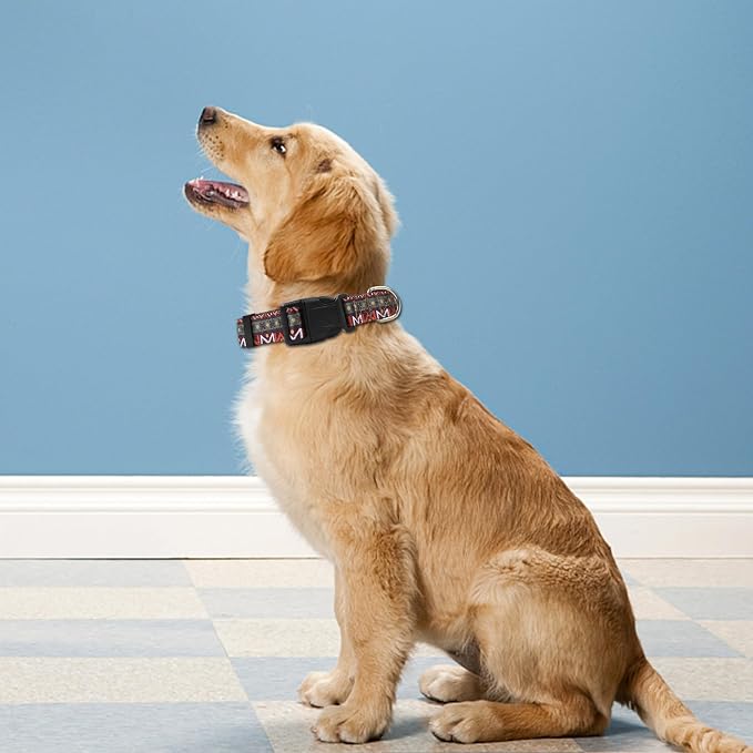 Reflective Dog Collar, Adjustable Neoprene Padded,Retro Geometric Flowers,M | Breathable Nylon for Medium Dogs,Tear-Resistant Webbing,Chafe‑Free on Walks and Hikes,Metal D-Ring,Night Safety - Image 2