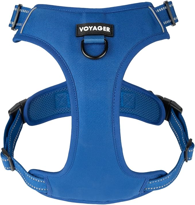 Voyager Dual Attachment No Pull Harness - Royal Blue, X-Small | 13 - 16" in Chest, No Pull Dog Harness, Fully Adjustable, 3M Reflective Technology, Front & Back D-Rings, Walking & Training by BestPetSuppliesLLC