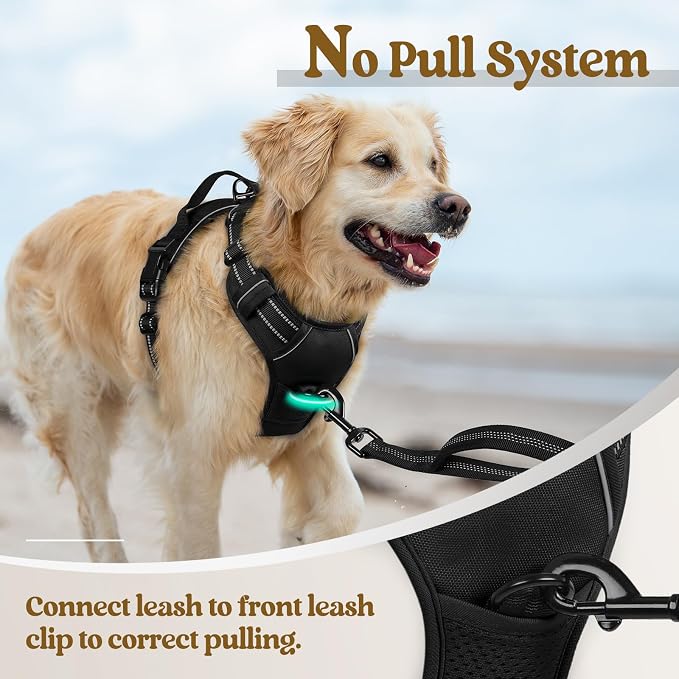 rabbitgoo Dog Harness, No Pull Medium Sized with 2 Leash Clips, Pet Vest | No Choke with Handle, Adjustable Soft Padded, Reflective, Easy Control for Walking, Black, Medium - Image 5
