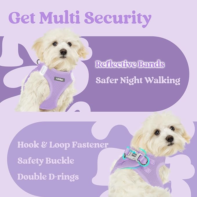 rabbitgoo Step-in Small Dog Harness, Puppy Vest for Medium Sized Pet | Easy Put on and off, Lightweight, Soft, Breathable Quick-Dry Air Mesh for Comfortable Secure Walking, Light Purple XXL - Image 7