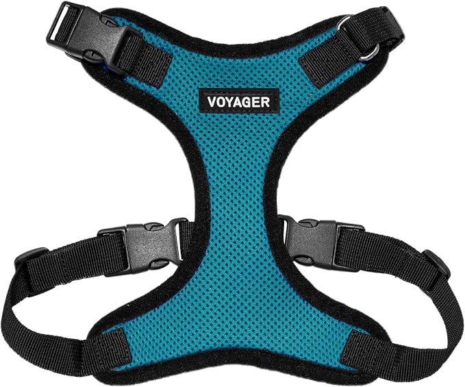 Voyager Step-in Lock Dog Harness - Turquoise/Black Trim, X-Small | 13 - 16" in Chest, Adjustable, Breathable Air Mesh, Lightweight for Daily Walks, Strong Clips, Heavy Duty D-Ring by BestPetSuppliesLLC