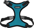 Voyager Step-in Lock Dog Harness - Turquoise/Black Trim, X-Small | 13 - 16" in Chest, Adjustable, Breathable Air Mesh, Lightweight for Daily Walks, Strong Clips, Heavy Duty D-Ring by BestPetSuppliesLLC