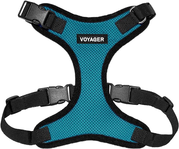 Voyager Step-in Lock Dog Harness - Turquoise/Black Trim, Large | 20 - 25" in Chest, Adjustable, Breathable Air Mesh, Lightweight for Daily Walks, Strong Clips, Heavy Duty D-Ring by BestPetSuppliesLLC