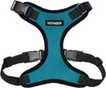 Voyager Step-in Lock Dog Harness - Turquoise/Black Trim, Large | 20 - 25" in Chest, Adjustable, Breathable Air Mesh, Lightweight for Daily Walks, Strong Clips, Heavy Duty D-Ring by BestPetSuppliesLLC