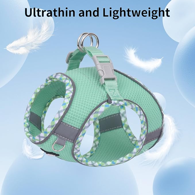Teacup Puppy Harness and Leash Set Escape-Proof, Turquoise S | No Pull Step-in Vest, Breathable Mesh, Reflective Design with High-Stick Magic Tape, Outdoor Use for Poodles, Pomeranians - Image 7