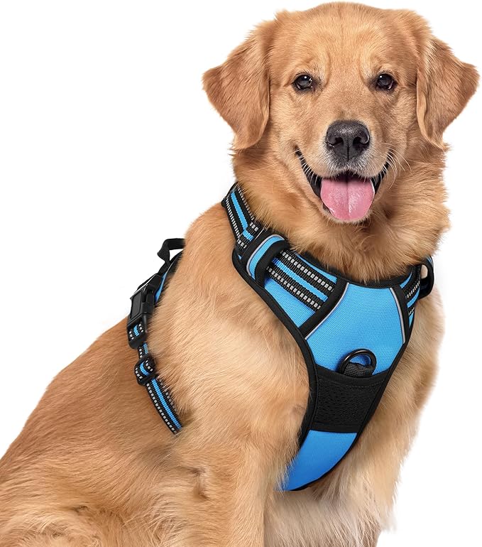 rabbitgoo Dog Harness, No Pull for Large Dogs with 2 Leash Clips, Pet Vest | No Choke with Handle, Adjustable Soft Padded, Reflective, Easy Control for Walking, Blue, X-Large by rabbitgoo