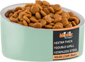 Master Pet Supply Stainless Steel Slanted Dog Cat Food Bowl 8 oz Pistachio | Heavy Duty Double Wall Insulated, Non-Slip Elevated Bowl for French Bulldogs, Pugs, Cats, Anti Rust, Dishwasher Safe by MasterPetSupply