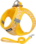 AIITLE Step in Small Dog Harness and Leash Set, Puppy Pet Vest, Yellow XS | Breathable Mesh, Adjustable Fit, No-Pull Reflective Design, Escape Proof, for Small-Medium Dogs, Outdoor Walking, Running by AIITLE-FORPETSBETTERLIFE