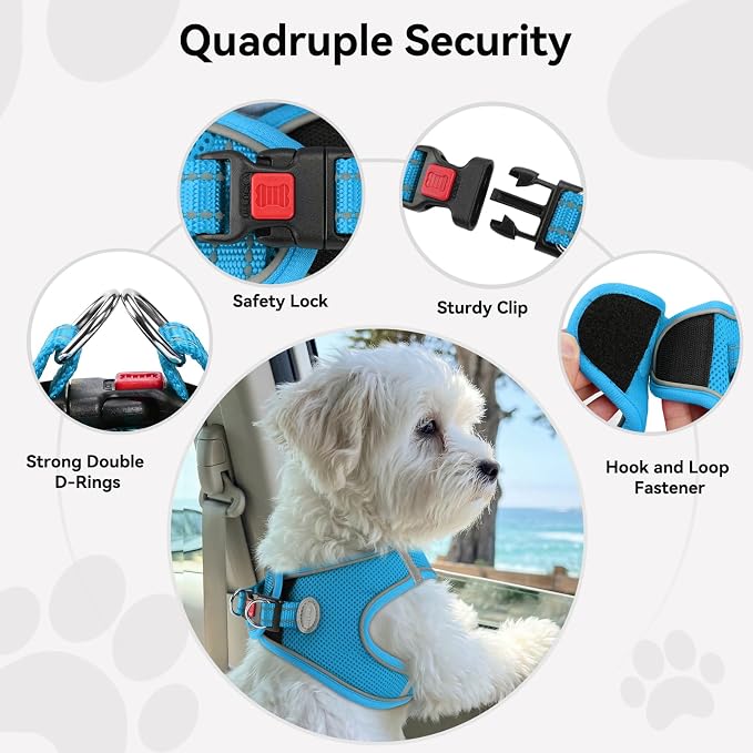 Joytale Step-in Dog Harness, Soft Breathable Mesh, Sky Blue XXXS | Adjustable Fit for Small Dogs, Easy Step-in with Secure Fastener, Even Chest Pressure, Reflective For Night Safety, Washable - Image 6