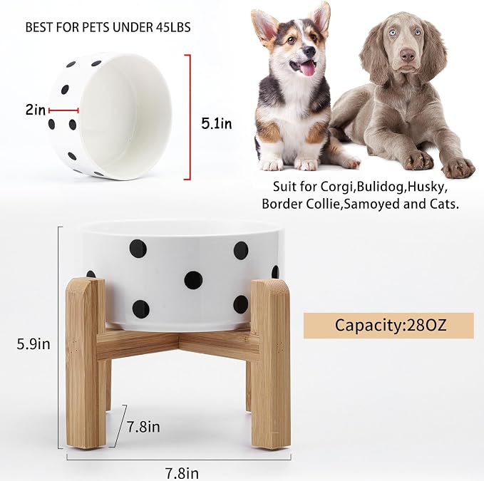 Petygooing 28 OZ Elevated/Raised Ceramic Dog Bowl for Small Medium Breeds, Dog Food Water Dish with Stand,Pet Bowl with Anti Slip Rubber for Cats Small and Medium Dogs (3.6 Cups) Black Dot - Image 3