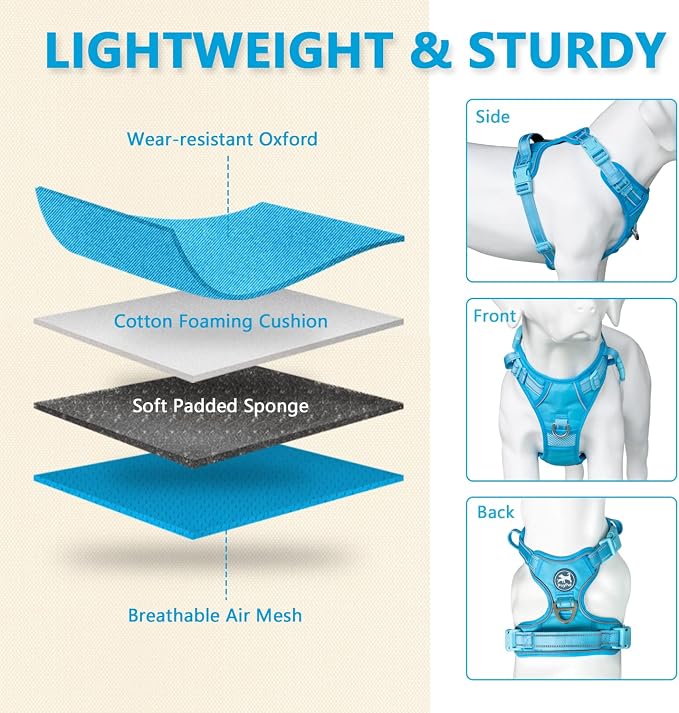 PoyPet No Pull Dog Harness, Reflective Vest with 2 Leash Clips & Handle | Lockable Neck Release Buckle, No Choke, Adjustable, Soft Padded, for Walking Training, Blue, Large - Image 3