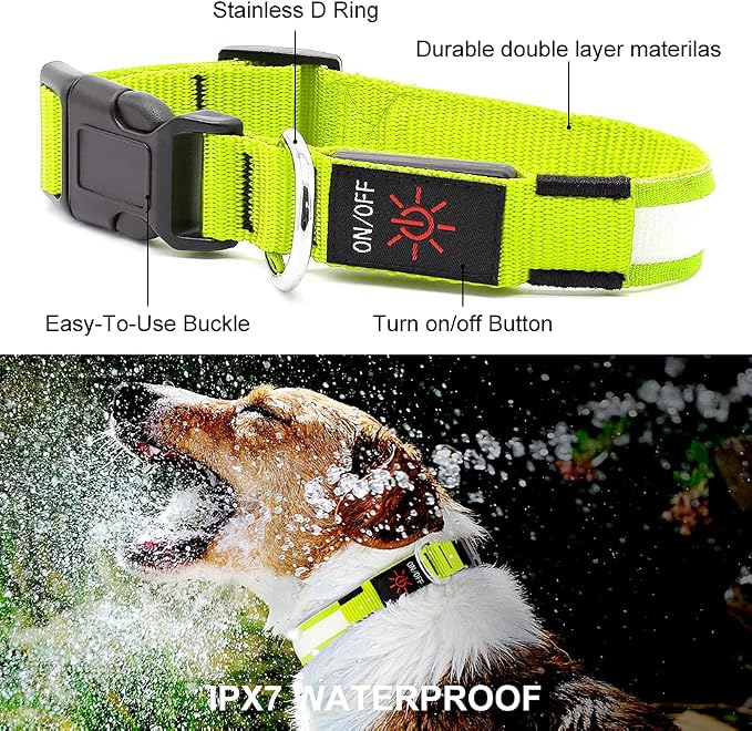 Light up Dog Collar Full Adjustable Dog Collar Safety Glowing(Green, Large) | Waterproof,Nylon,Soft,Super Bright Light Collars for Small Medium and Large Dogs,USB C to Charge - Image 3