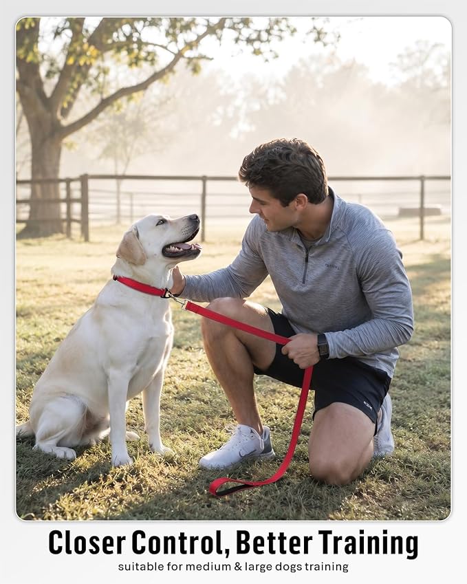 FunTags Reflective Nylon Dog Leash for Medium & Large Dogs, 4FT Training | Comfortable Padded Grip, Stay Safe at Night, 360° Anti-Tangle Swivel, for Dog Parks & Trails, Red - Image 5