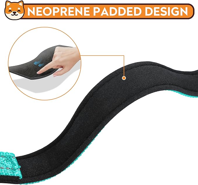 Reflective Dog Collar, Adjustable Soft Neoprene Padded,Teal,XL | Breathable Nylon for Extra Large Dogs,Tear-Resistant Webbing,Chafe‑Free on Walks and Hikes,Metal D-Ring,Night Safety - Image 4