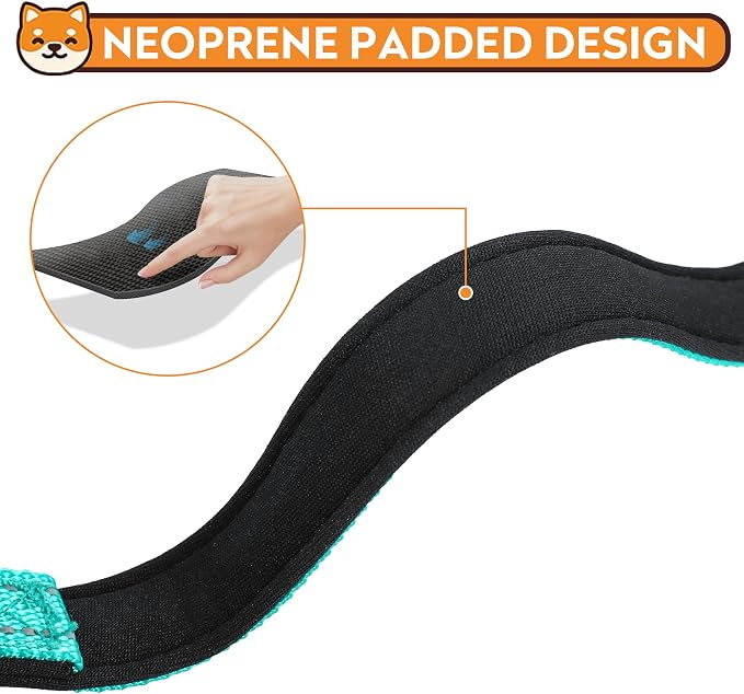 Reflective Dog Collar, Adjustable Soft Neoprene Padded,Teal,M | Breathable Nylon for Medium Dogs,Tear-Resistant Webbing,Chafe‑Free on Walks and Hikes,Metal D-Ring,Night Safety - Image 4