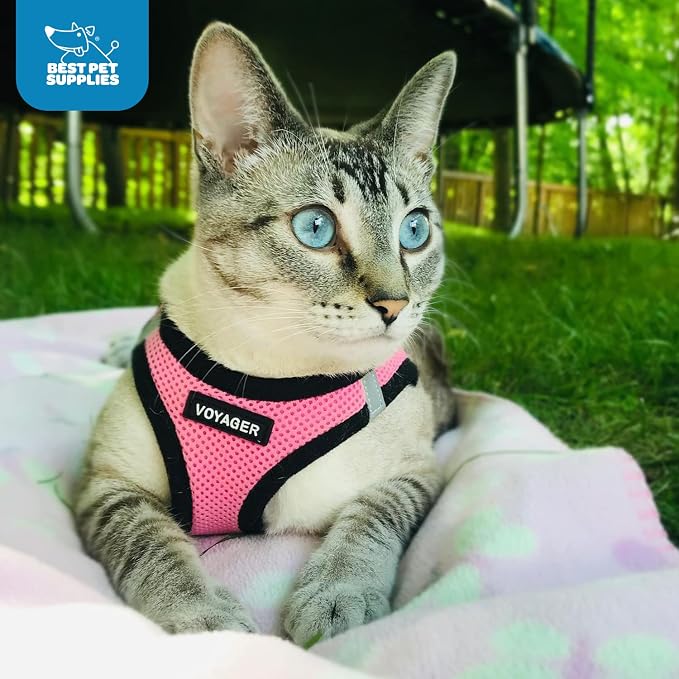 Voyager Step-in Air Dog Vest Harness - Pink/Black Trim, Large | 18- 20.5" in Chest, Reflective Bands, All Weather Breathable Air Mesh, Cats Compatible, Lightweight, Fast Drying - Image 10