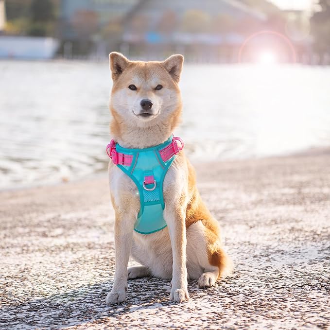 No Pull Dog Harness, Unique Colors Reflective Adjustable Dog Vest | with Soft Training Handle Metal Clips for Small Medium Large Dogs (Mint Green Base & Pink Straps,S) - Image 3