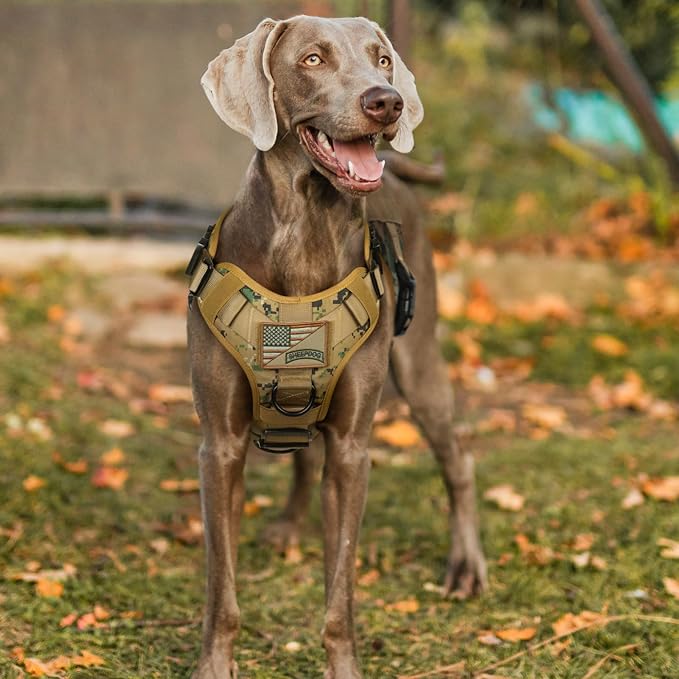 rabbitgoo Tactical Dog Harness for Medium, Heavy Duty Military No Pull Vest | Sturdy Metal Buckles, 5 Adjustments, Molle System, Powerful Pullers for Training, Hunting, Outdoor, Brown Camo, Medium - Image 8