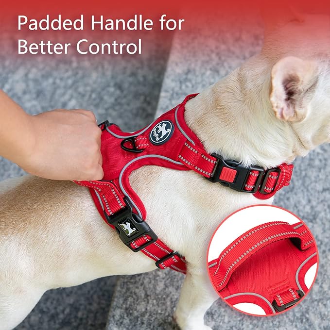 PoyPet No Pull Dog Harness, Reflective Vest with 2 Leash Clips & Handle | Lockable Neck Release Buckle, No Choke, Adjustable, Soft Padded, for Walking Training, Red Matching Trim, Large - Image 4