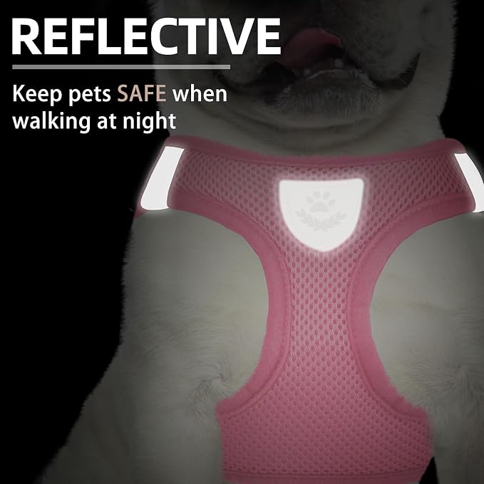 PUPTECK Dog Harness, Collar and Leash Set No Pull for Small Medium Sized | Soft Mesh Puppy Step-in Escape Proof Reflective No Choke Pet Cat Adjustable Walking Vest - Image 5
