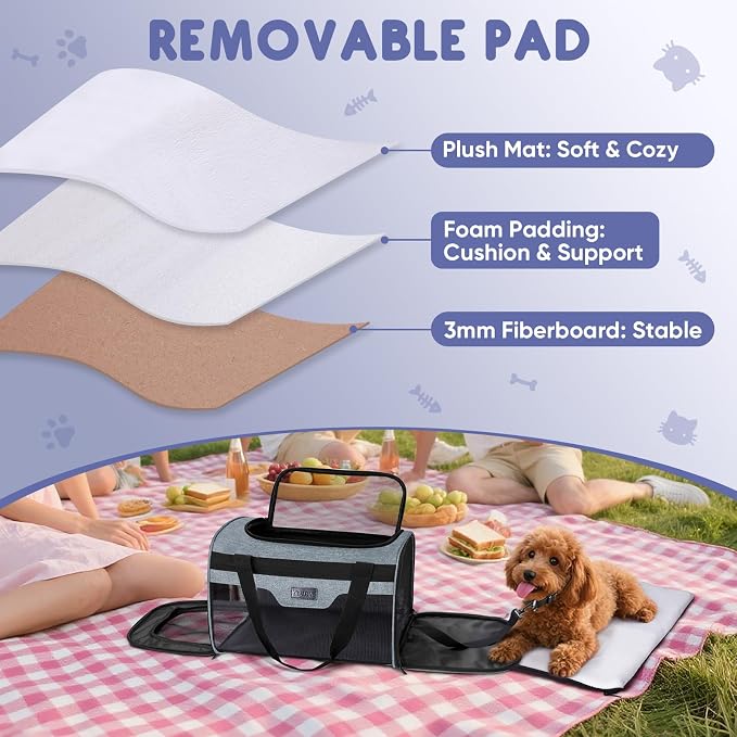 BALEINE Cat Carrier, Puppy Dog Carrier for Small Medium Pets Up to 15 Lbs, Soft-Sided Dog Travel Bag with Safety Zippers, Collapsible Pet Carrying Case (Gray, L, 17"x11"x11") - Image 5
