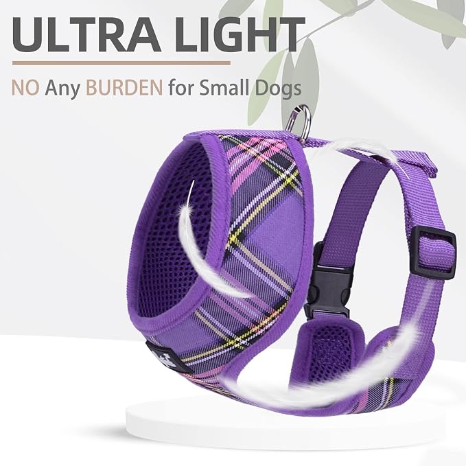 PUPTECK Small Dog Harness and Leash Set No Pull for XS XXS Sized Dogs Puppy | Escape Proof No Choke Pet Cat Adjustable Soft Padded Walking Vest - Image 5