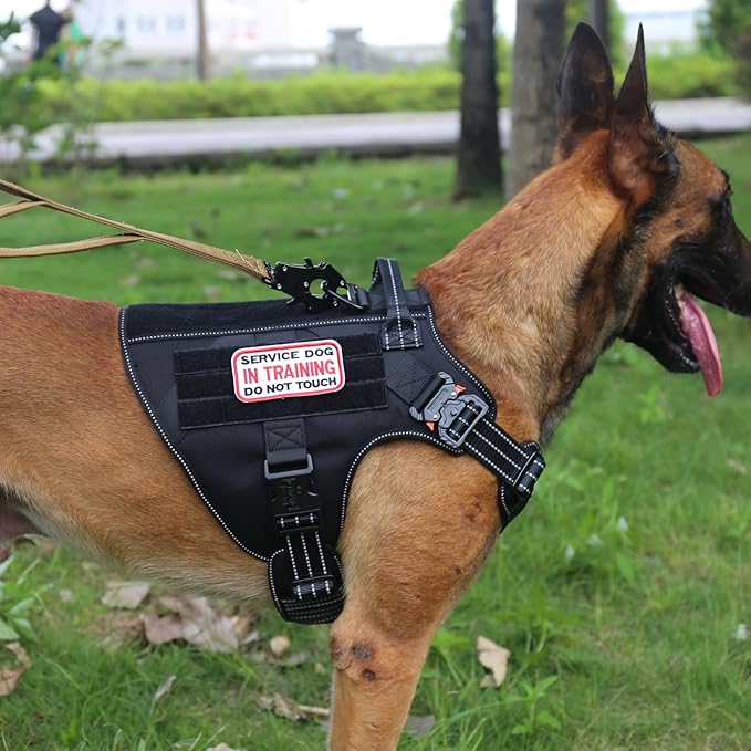 ICEFANG Tactical Dog Harness for Large Dogs,Reflective No Pull Dog Vest | with Control Handle,Adjustable,Front Hook,2 Leash Clips,Soft Padded,MOLLE Panel,Black,Large - Image 2