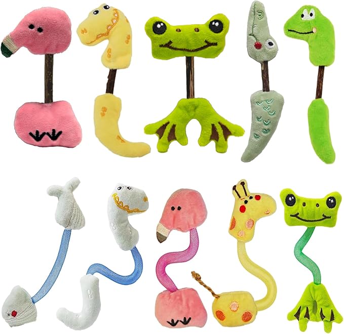 Interactive Cat Toys Set, Silvervine Chew Sticks and Cat Spring Toy, Indoor Catnip Toys for Exercise and Dental Care, for Adult Cats and Kittens (10 Packs) by Unknown