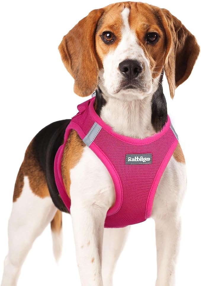 rabbitgoo Step-in Small Dog Harness, Puppy Vest for Small Medium Sized Pet | Easy Put on and off, Lightweight, Soft, Breathable Quick-Dry Air Mesh for Comfortable Secure Walking, Rose Red XL by rabbitgoo