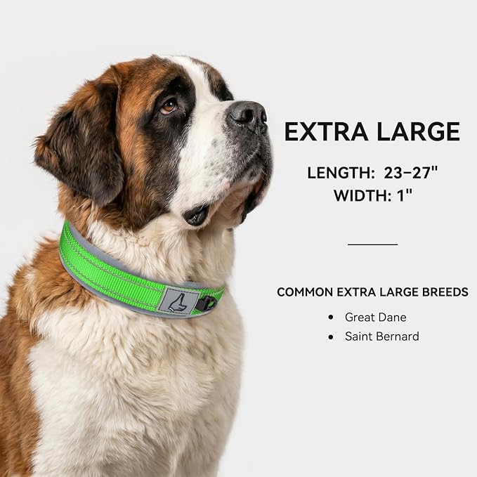 Joytale Reflective Dog Collar for XLarge Dogs with Wide Padding, Green | Soft Cushion Reduce Neck Strain, Night Safety Walking, Metal Buckle and Adjustable Eyelets, Separated Dog ID Tag Ring - Image 5