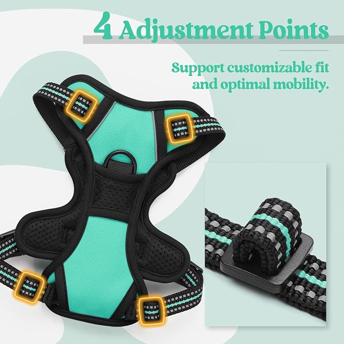 rabbitgoo Dog Harness, No Pull for Small Dogs with 2 Leash Clips, Pet Vest | No Choke with Handle, Adjustable Soft Padded, Reflective, Easy Control for Walking, Turquoise, X-Small - Image 4