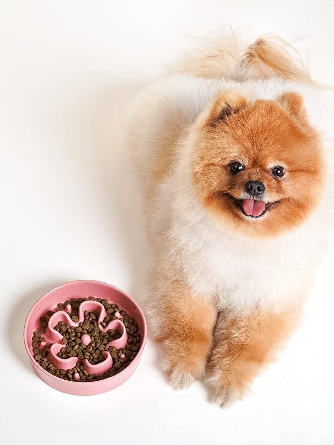LE TAUCI Ceramic Slow Feeder Dog Bowls Small Breed, 0.6 Cups Dog Food Dish for Fast Eaters, Puzzle Bowl for Small Dogs and Cats,Pink Bloom - Image 7